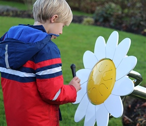 Percussion Play Petal Drum