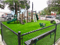 Library Park