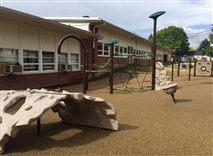 North Powellhurt School
