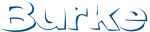 BCIBurke Logo